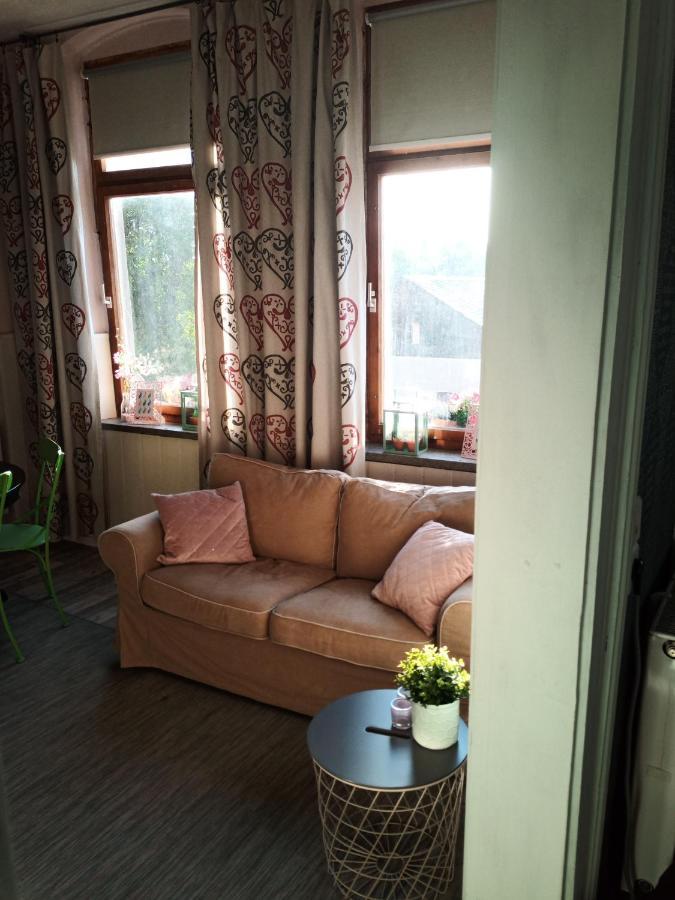 Zur Friedrichsruh Bed and Breakfast Oelsnitz  Exteriör bild