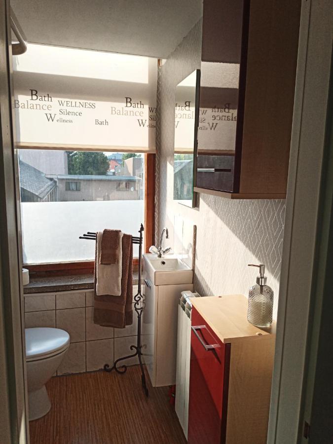 Zur Friedrichsruh Bed and Breakfast Oelsnitz  Exteriör bild