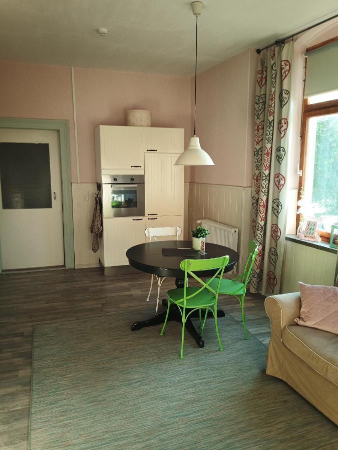 Zur Friedrichsruh Bed and Breakfast Oelsnitz  Exteriör bild